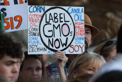 Connecticut Becomes, Conditionally, First State to Require Genetically Modified Food Labeling