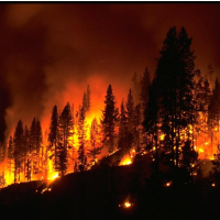 The Rising Cost of Wildfires