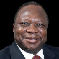 South Africa’s Ambassador to the United States: Who Is Mninwa Johannes Mahlangu?