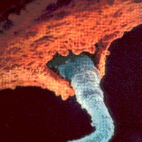 Mississippi to Vote Tuesday on Calling Fertilized Eggs Humans