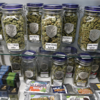 As Legal Marijuana Spreads, Will Big Business Muscle Out Small Providers?