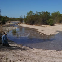 Good News from the U.S.-Mexican Border
