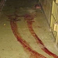 Iraq Detainee Abuse Investigations…Just Forget about It