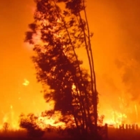 Gunfire Blamed in Dozens of Wildfires