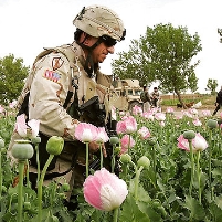 US Envoy Holbrooke Blasts Wasteful Anti-Opium Efforts in Afghanistan
