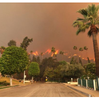 Forest Service Predicts Shortfall of Funds Needed to Fight Wildfires This Year