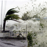 Hurricanes with Female Names Cause more Deaths than those with Male Names