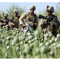 U.S. and NATO Killed Drug Dealers in Afghanistan
