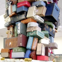 Department of Transportation Moves to Protect Air Travelers’ Rights