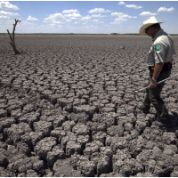 Of 10,885 Peer-Reviewed Articles on Climate Change in 2013, Only 2 Question Human Involvement