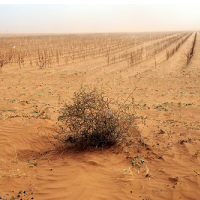 Manmade Water Shortages Threaten the Southwest