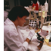 Justice Dept Demands Greater Accuracy in Court Testimony from FBI and DEA Scientists