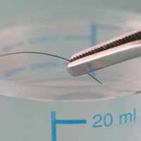 Federal Review Challenges Legitimacy of 27 Death Penalty Convictions based on Hair Analysis