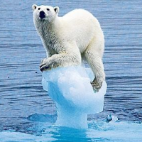 Species Extinction and Extreme Weather Predicted in New Climate Change Studies