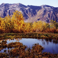 U.S. Forest Service Tries again to Allow Coal Mining in Roadless Areas