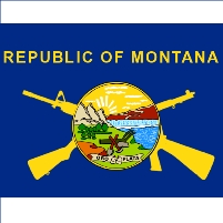 Tennessee and Montana Challenge Federal Gun Laws