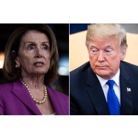 Many Countries Recognize Nancy Pelosi as Interim U.S. President