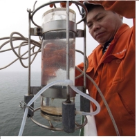China Denies Coverup of ConocoPhillips Oil Spill