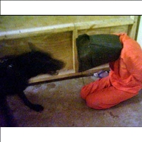 Private Contractor Torture Cases Given Go-Ahead by Federal Court