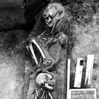Appeals Court Rules Native American Skeletons Unearthed 38 Years Ago must be Returned to Tribes
