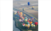 Hot-Air Balloon Festival                                                                            