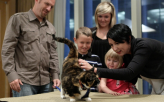 Cross-Country Cat Reunited with Family                                                              