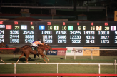 Hollywood Park's Final Race